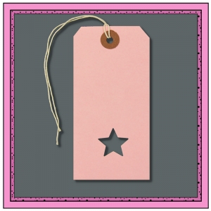 Pink Girls Gift Tags with Punched STAR 120mm x 60mm - Pack 10